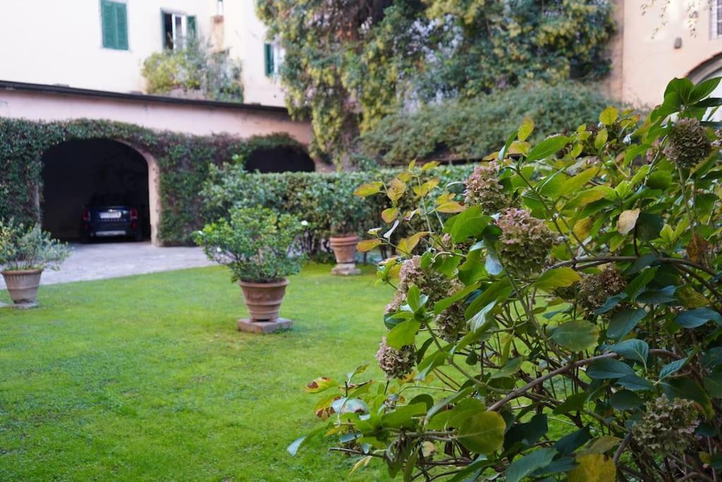 Loft Moderno Ubicato Nel Centro Storico Di Lucca Apartment Ngoại thất bức ảnh